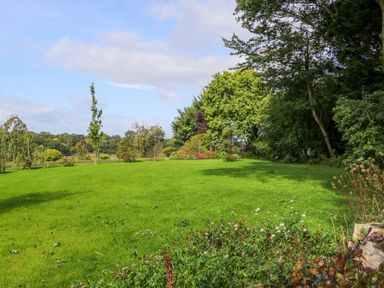 A garden with green grass and various trees and shrubs at Quiet Waters Cottage in Loughan near Coleraine