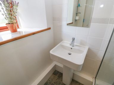 A bathroom sink with a faucet below a mirror next to a tiled windowsill with a plant at Field Barn in Alston