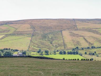 A rural hillside with fields divided by stone walls and a house at the bottom at Field Barn in Alston