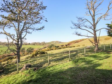 A grassy field with trees, a fence, hills, and a sheep at Hafod Y Mor in Criccieth