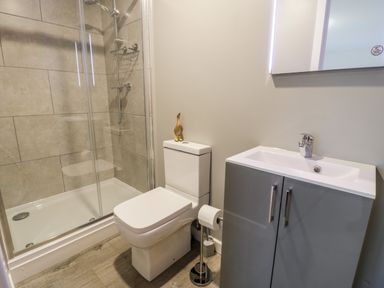 A bathroom with a shower enclosure a toilet with a duck figurine a toilet roll holder and a sink cabinet with a mirror above at Cartref in Trawsfynydd