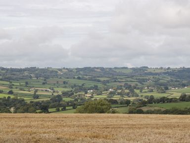 A rural landscape with farmland and scattered houses in the distance at The Linhay in Chardstock