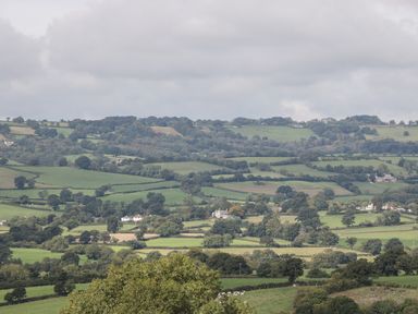 A countryside landscape with green fields trees and scattered houses at The Linhay in Chardstock