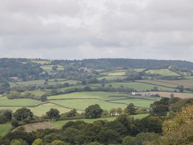 A countryside landscape with green fields divided by hedges and scattered trees at The Linhay in Chardstock