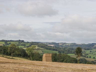 A field with stacked hay bales and trees with rolling green hills in the background at The Linhay in Chardstock