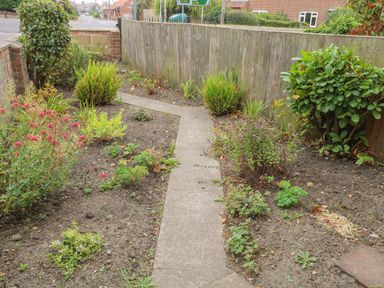 A garden with a concrete path surrounded by plants and bushes near a wooden fence