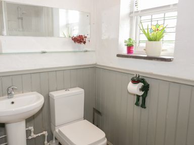 A bathroom with a toilet and sink and plants on a shelf and window at Little House in Red Wharf Bay