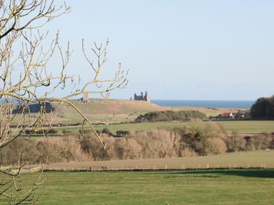 A rural landscape with a bare tree branch in the foreground fields trees and ruins near the sea at Whinstones at 4 The Villas Embleton