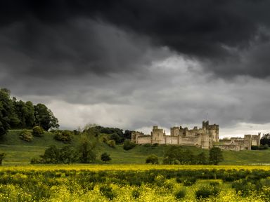 A field of yellow flowers with trees and a large stone castle in the background under a cloudy sky at Whinstones at 4 The Villas in Embleton