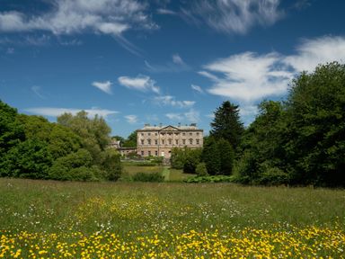 A large stone building behind trees and a field of yellow and white flowers at Whinstones at 4 The Villas Embleton