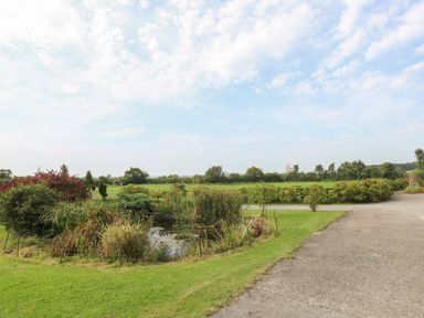 A garden with a pond surrounded by grass shrubs and trees at Willow Barn in Cucklington near Wincanton