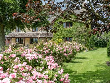 A garden with roses and a house at Willow Barn in Cucklington near Wincanton