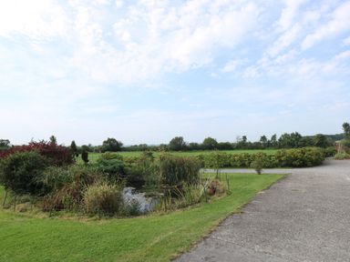 A garden with a small pond surrounded by bushes and grass next to a paved pathway at Little Barn in Cucklington near Wincanton