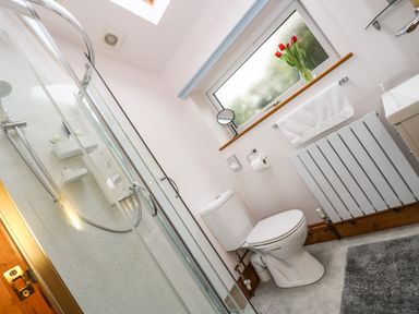 A bathroom with a shower enclosure a toilet a towel rail with a towel a small vanity and a window with red flowers on the sill at Glenhaven in Trewarmett near Tintagel