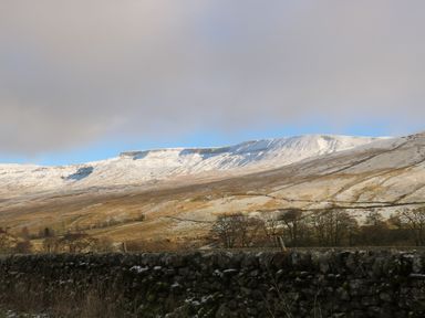 A snow-covered mountain range with a stone wall and trees in the foreground at Oakdene Country House in Sedbergh