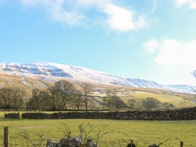 A field with stone walls and trees with snow-covered hills in the background at Oakdene Country House in Sedbergh
