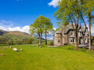 A stone country house with trees and sheep grazing on green grass at Oakdene Country House in Sedbergh