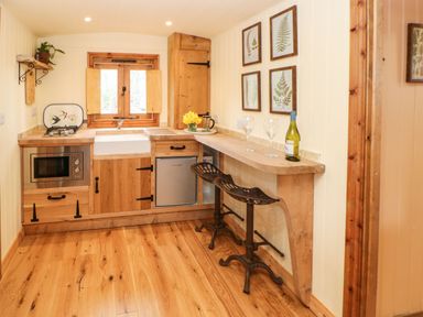 A small kitchen with wooden cabinets a sink a microwave two bar stools and framed botanical prints at Bracken Fern in Eppleby