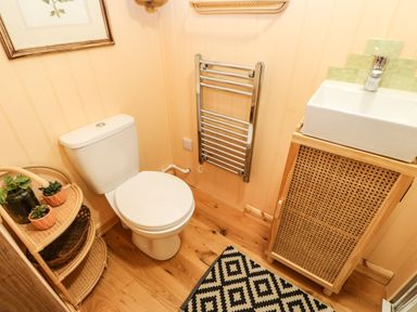 A bathroom with a toilet, a wooden cabinet with a white sink, a metal towel rack, a small shelf with plants and baskets, and a patterned rug on the floor at Bracken Fern in Eppleby