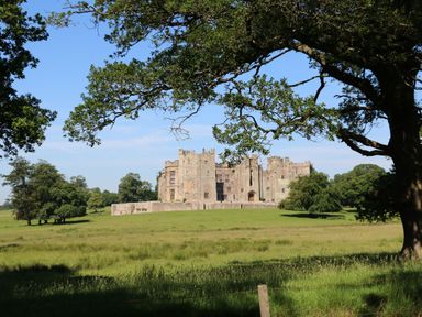 A stone castle surrounded by green fields and trees with branches in the foreground at Bracken Fern in Eppleby