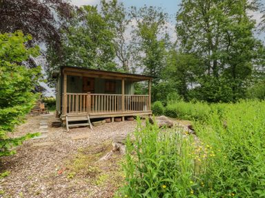 A cabin with a deck surrounded by trees at Bracken Fern in Eppleby