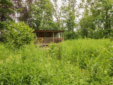 A cabin surrounded by tall grass at Bracken Fern in Eppleby