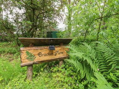 A wooden sign with 'Bracken Fern' surrounded by greenery at Bracken Fern in Eppleby