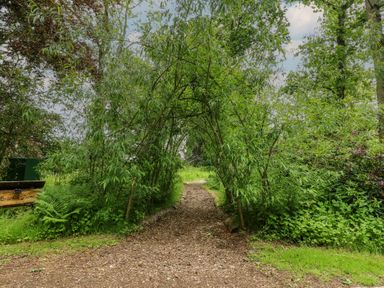 A pathway lined by trees at Bracken Fern in Eppleby