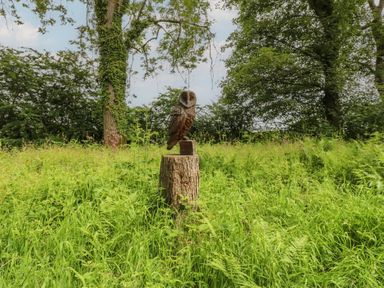 An owl statue on a tree stump in a grassy area at Bracken Fern in Eppleby