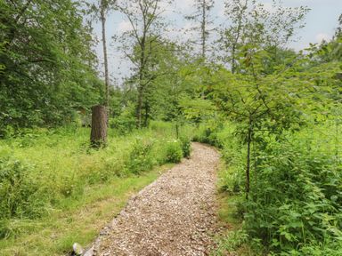 A pathway surrounded by trees and bushes at Bracken Fern in Eppleby