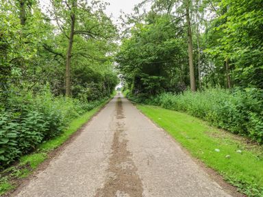 A path surrounded by trees and bushes at Bracken Fern in Eppleby