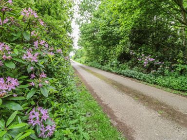 A road lined with flowers and trees at Bracken Fern Eppleby