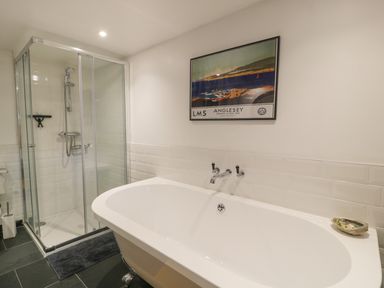 A bathroom with a freestanding bathtub shower enclosure and a framed wall picture at Nyth Y Wennol in Llanfachraeth