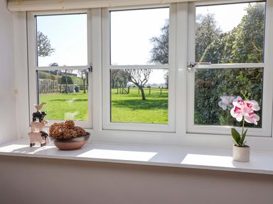 A window with decorative items and a flower pot at Cartwheel Cottage in Yearsley