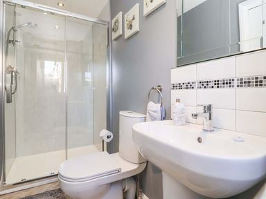 A bathroom with a shower, toilet, and sink at Cartwheel Cottage in Yearsley