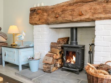 A wood burning stove with firewood stacked beside it and a blue cabinet with a lamp and decorative birds in a room at 3 Elm Cottage in Carhampton