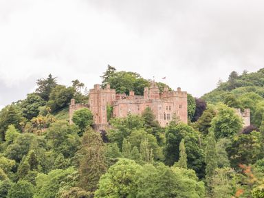 A large stone castle on a hill surrounded by trees and greenery