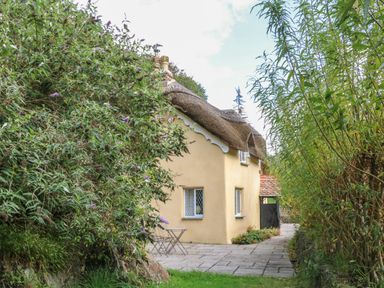 A thatched cottage with yellow walls and white framed windows surrounded by plants and a paved patio at Old Maids Cottage in Woolacombe