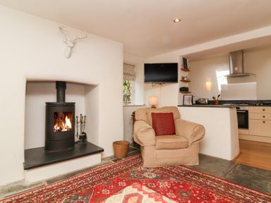 A living room with a fireplace and television at Old Maids Cottage in Woolacombe