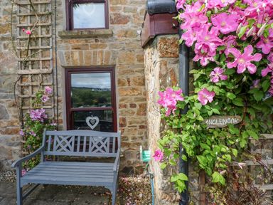 A stone cottage wall with two windows a gray bench and pink climbing flowers at Inglenook Cottage in Broad Haven