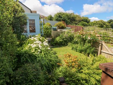 A garden with green plants flowers a light blue shed and a wooden fence at Inglenook Cottage in Broad Haven