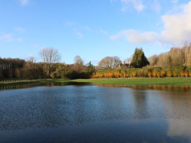 A pond with grassy banks and trees with a house in the background at 3 Painters Field in Quenington Near Cirencester