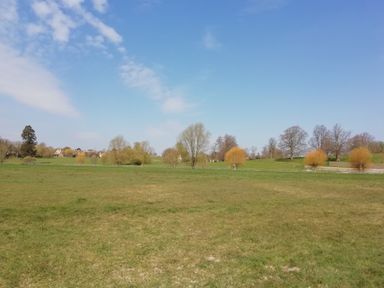 A grassy field with scattered trees and houses in the distance under a blue sky at 3 Painters Field Quenington Near Cirencester