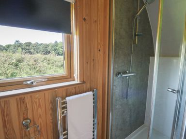 A bathroom with a shower and towel rail at Bwthyn Bach Brefi