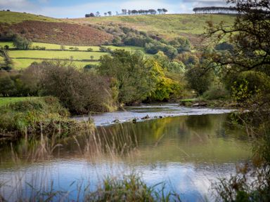 A river surrounded by trees and hills at Bwthyn Bach Brefi