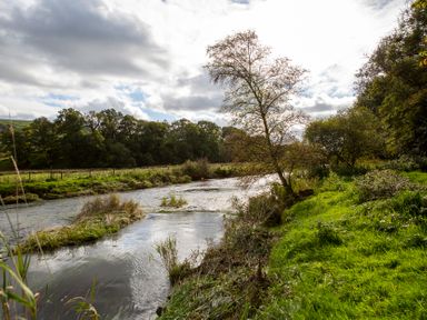 A river with trees and grass at Bwthyn Bach Brefi
