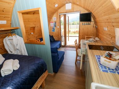 A living space with a bed, sofa, and kitchenette at Bwthyn Bach Brefi in Llanddewi-Brefi
