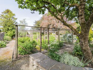 A garden with various plants and trees including a fenced area covered by netting at The White House in Cartmel