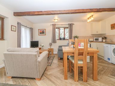 An open plan living room and kitchen with sofas a dining table kitchen cabinets and appliances at Hilly Field Barn in Yelverton