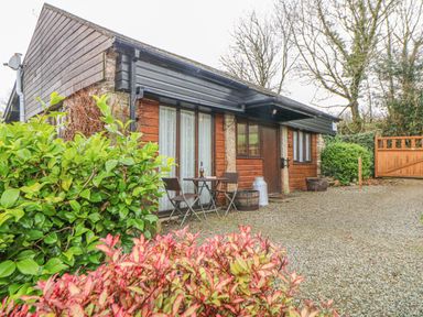 A wooden cottage with two chairs and a table outside surrounded by bushes at Hilly Field Barn in Yelverton
